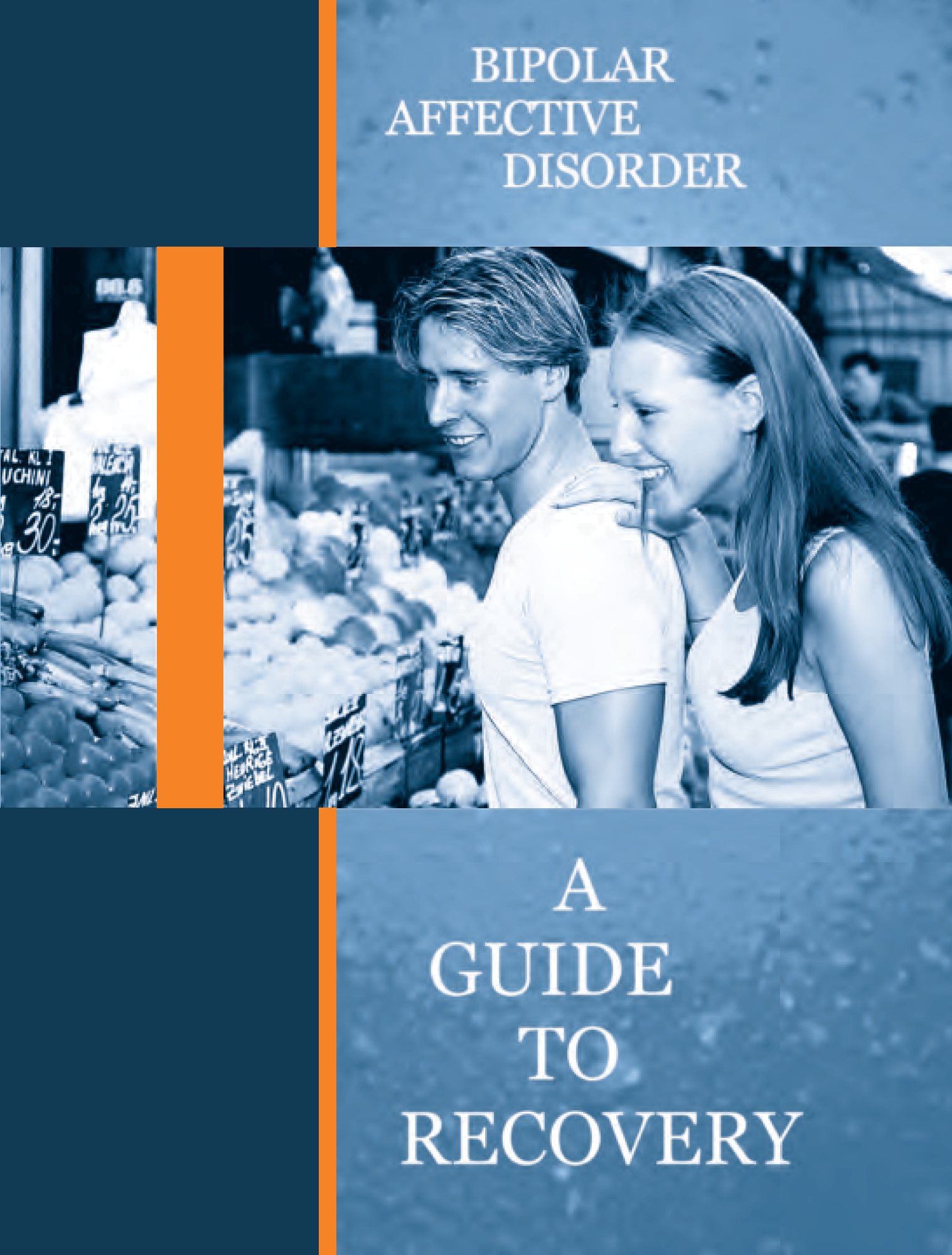Bipolar_Affective_Disorder_-_A_Guide_to_Recovery_2010_Page_01-1